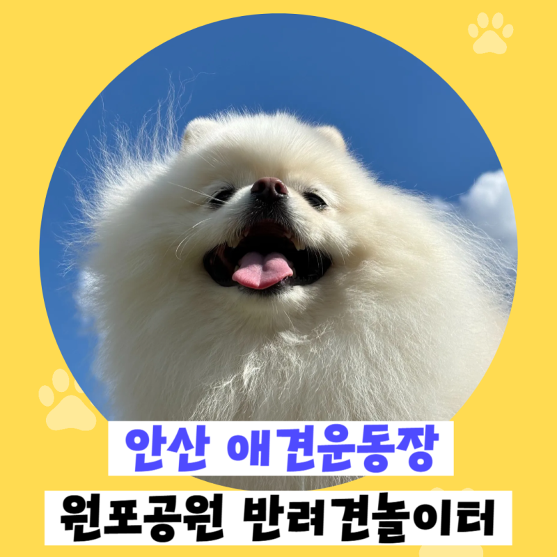 사진 5
