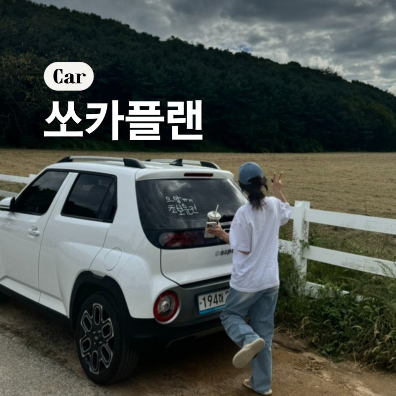 쏘카 플랜 장기 단기렌트 캐스퍼 5개월 후기 (가격, 주유, 보험, 장단점, 번호판)