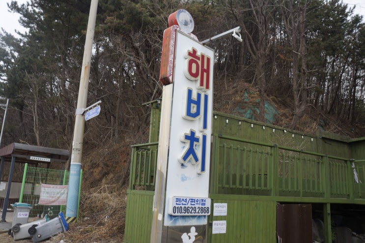  장경리해수욕장 펜션 뷰, 편의시설, 접근성 모두 만족한 곳