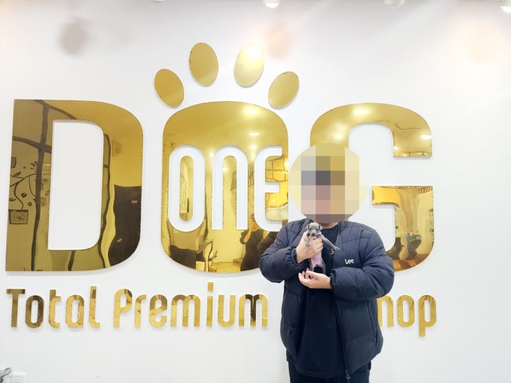  부산 고객님의 인생 반려견, 이탈리안 그레이하운드 입양 후기  세종 원독에서 만난 특별한 인연, 세종시 강아지분양 애견분양 전문 센터