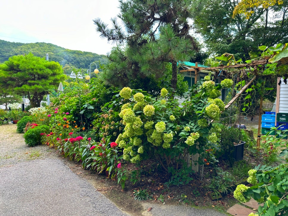 녹색의장원 사진 4