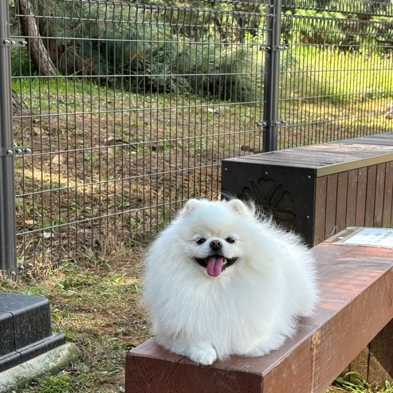 사진 6