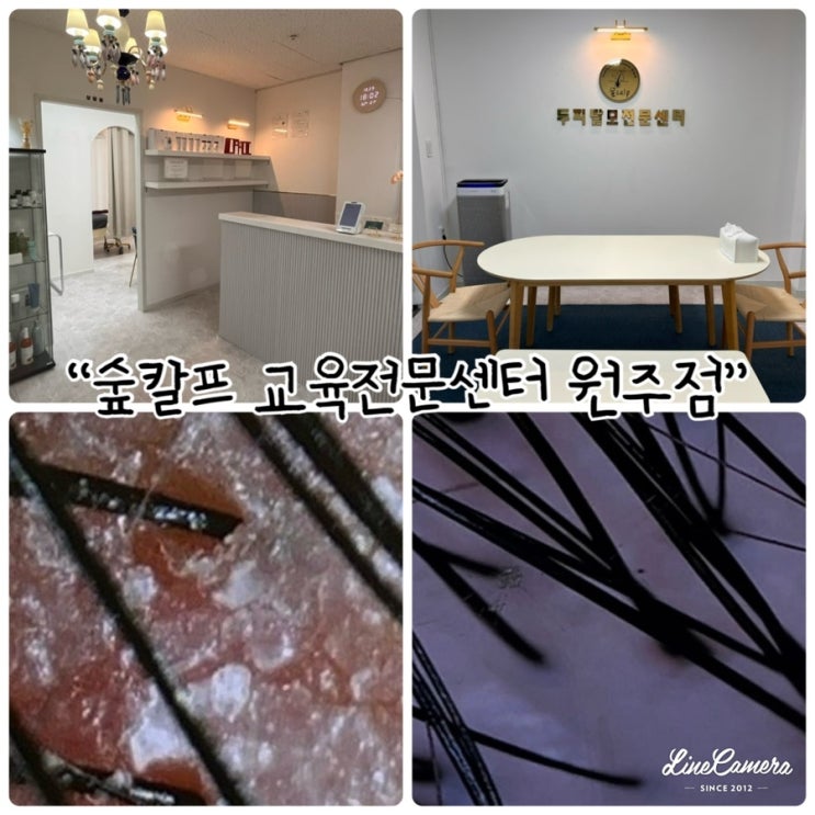  "숲칼프교육전문센터원주점" 건강한두피와 모발케어를 위한 원주반곡동 숲칼프