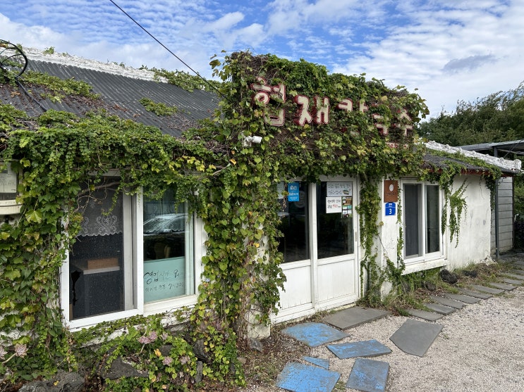  제주 협재칼국수 & 레이지펌프