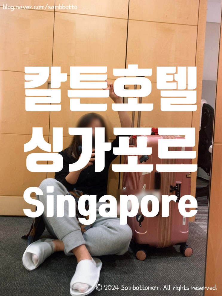 싱가포르 호텔 후기 | 칼튼 호텔 싱가폴(Carlton Hotel Singapore) | 싱가포르 출장 part.1 | 콘센트(다이소 최고)