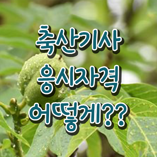  축산기사 시험응시 요건 축산기사 시험자격 온라인 수업으로 빠르게 성공한 전략