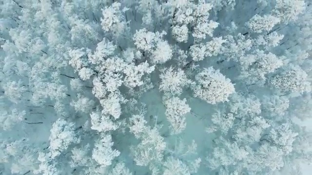  부동산가격하락 , 부동산자산관리전문가 부동산자산관리사 취득방법 및 무료 교육기관