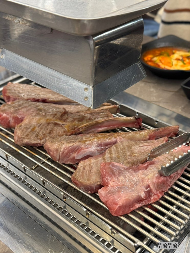  동대문 맛집 양꼬치 신설동 양갈비 전통 중국음식 양치기 소녀