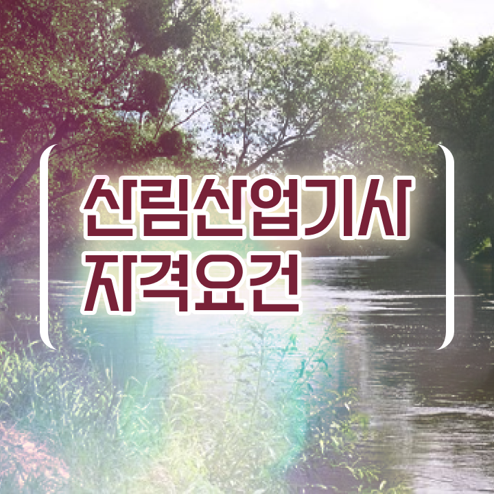  산림산업기사 시험 자격 산림산업기사 시험응시자격 집에서 온라인으로 빠르게 성공한 전략