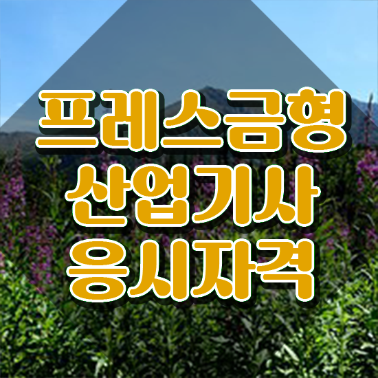  프레스금형산업기사 응시조건 온라인으로 간단하게 성공한 비법