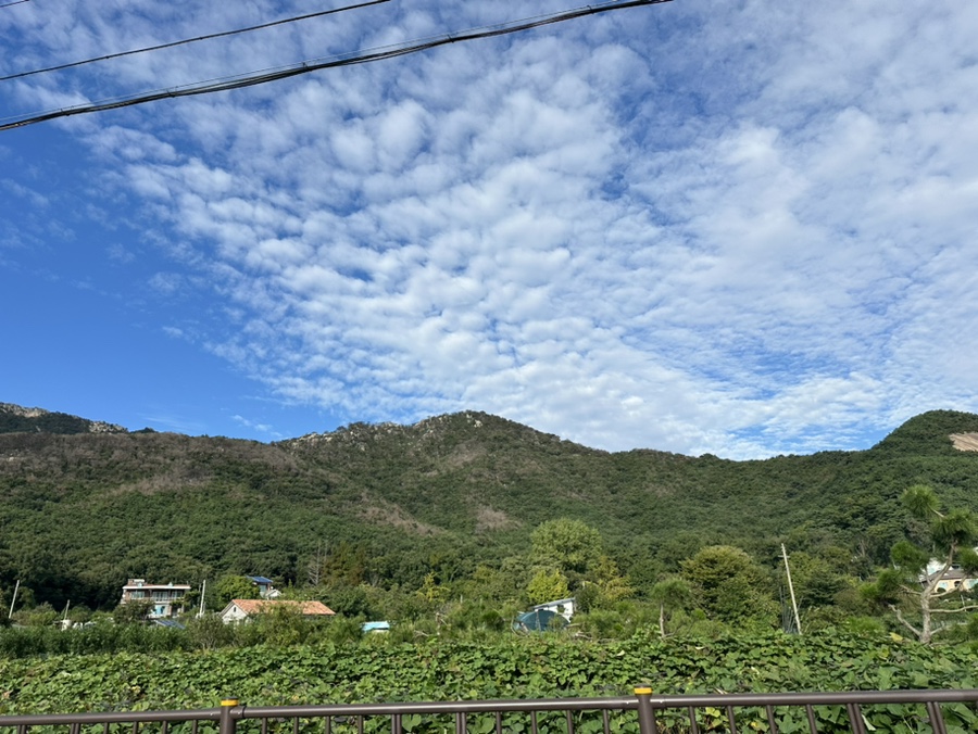 골드뷰펜션 사진 5
