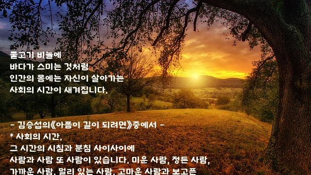 물고기 물고기