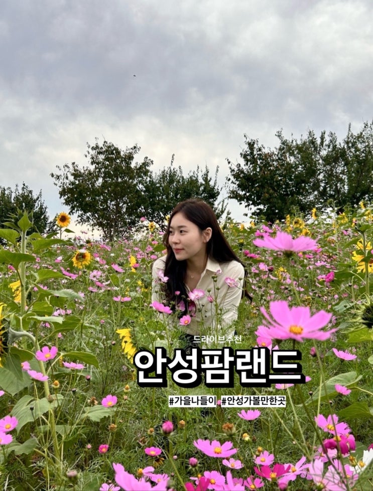  가을나들이 드라이브 ‘안성팜랜드’에서 커플 인생샷
