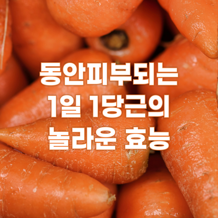  1일 1당근하면 동안피부됩니다! 당근의 놀라운 효능 및 부작용