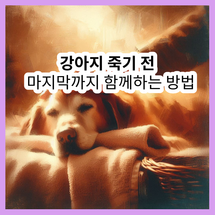  강아지 죽을 때 나타나는 신호부터 이별 준비까지