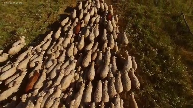  10대 자격증 추천 , 고졸자도 조향사 성공할 수 있어요