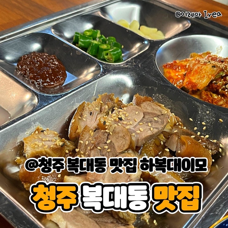  청주 복대동 맛집 하복대 이모 이모카세 후기