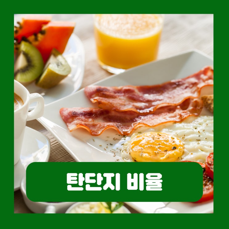  탄단지 비율 계산 다이어트 식단 저탄고지 헬스
