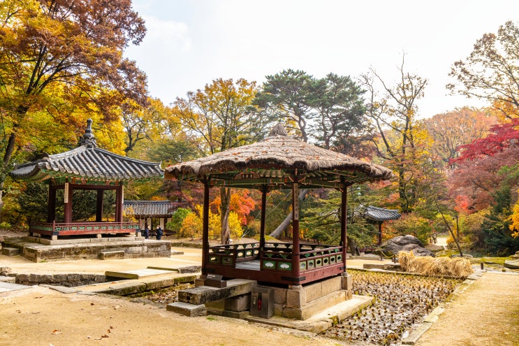  창덕궁 _ 옥류천 권역