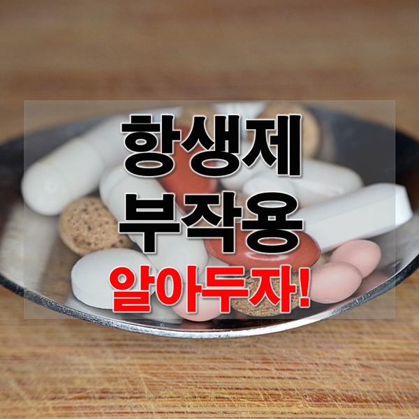 항생제부작용 알아두면 좋은 점