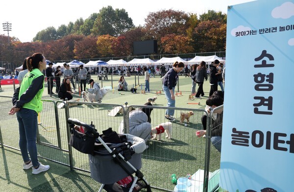  2024 노원 반려동물축제 노원 반려동물 함께, 마들스포츠타운