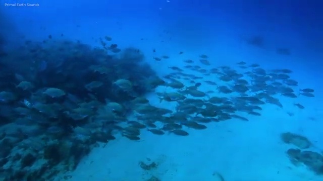  고졸사회복지사2급자격증 , 경력없는 고졸도 학점은행제 학사학위 걱정하지 말아요