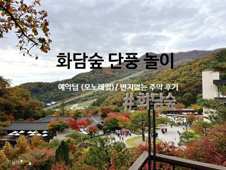  마음까지 붉게 물드는 <화담숲 >가을 성수기 단풍 놀이 (예매팁, 모노레일, 번지없는주막)