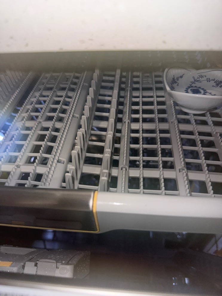 집안 청소 정리 (세탁기, 건조기, 냉장고, 식세기, 욕실청소 등)