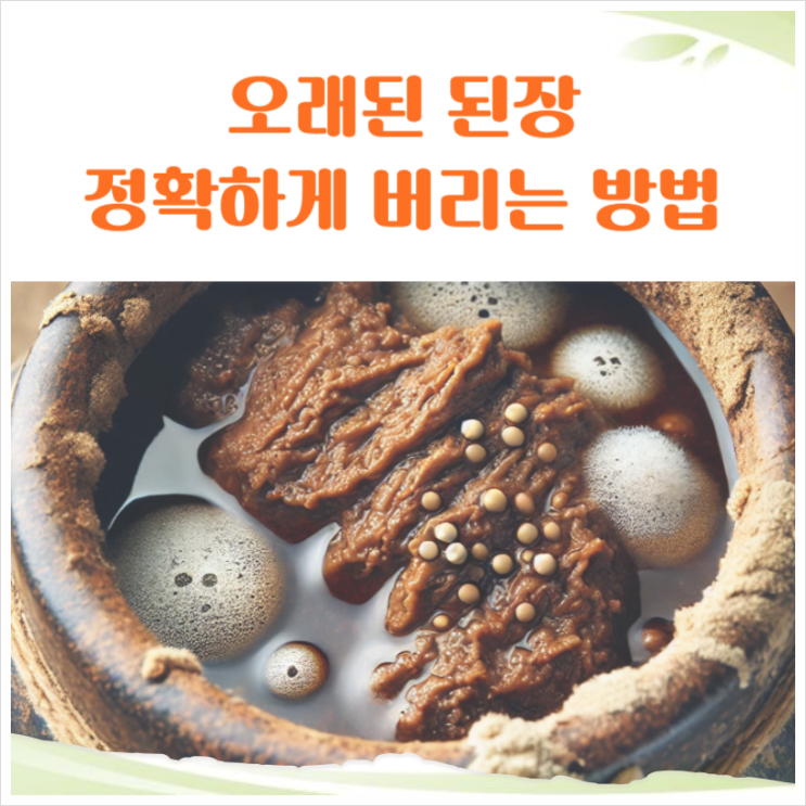  냄새 걱정없이 안전하고 정확한 방법으로 된장 버리는법