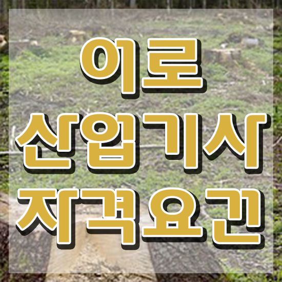  어로산업기사 시험자격 어로산업기사 취득자격 인강만 듣고 빠르게 성공한 과정