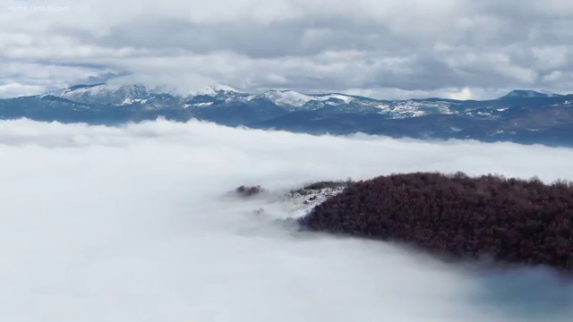  식물보호산업기사 기출문제 , 식물보호산업기사 자격요건 독학으로 단기간에 완료한 팁