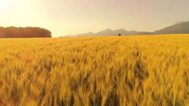  자원봉사 프로그램 , 자원봉사지도사 자격증 쉽고 간편하게 합격한 전략 정리