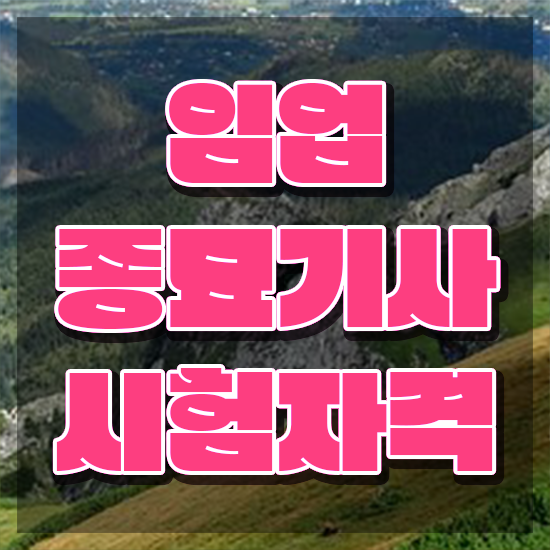  임업종묘기사 임업종묘기사 응시자격 인강으로 간단하게 끝낸 비법