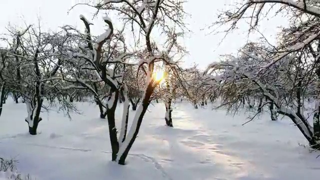  경영학과 , 경영학 학사 학점은행제로 쉽게 준비했던 비법