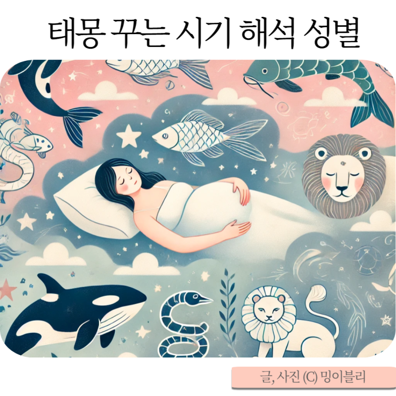 태몽 꾸는 시기 잉어 사자 뱀 물개 범고래 의미 해석 성별