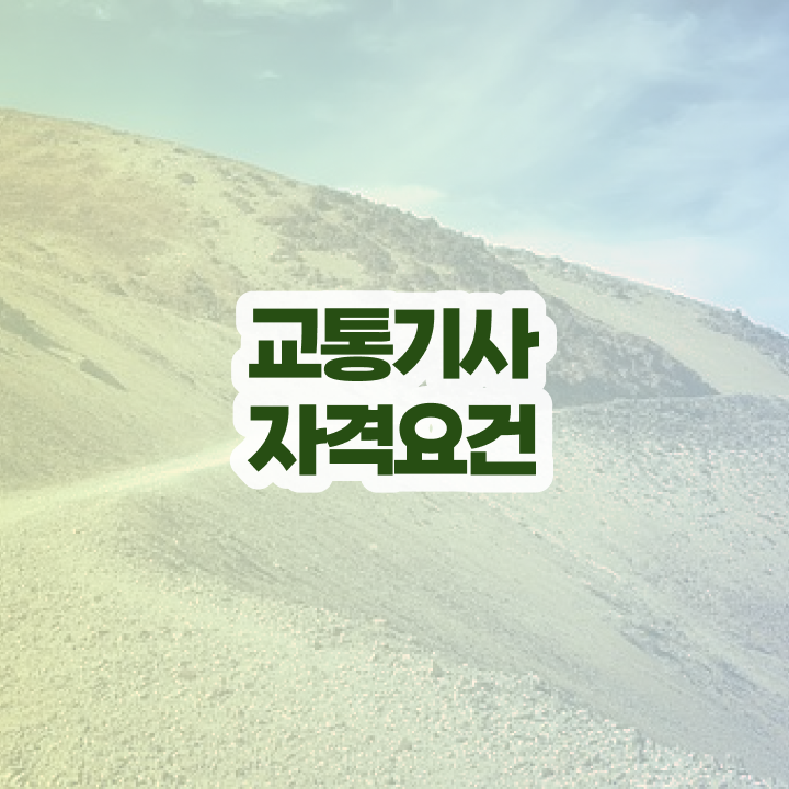  교통기사 교통기사 자격요건 온라인으로 빠르게 완료한 노하우
