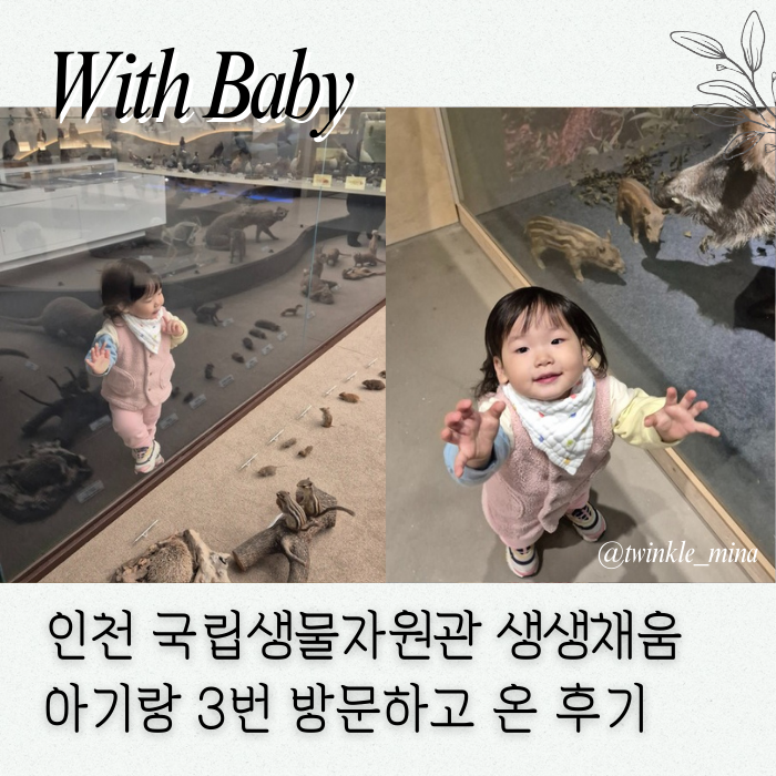  인천 국립생물자원관 생생채움 아기랑 가본 후 느낀 점