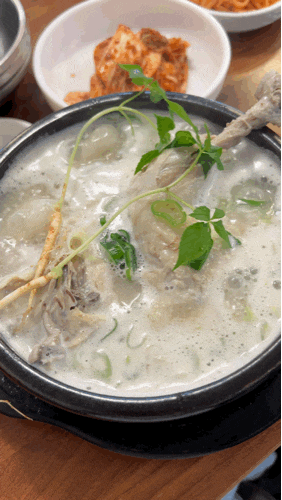  울산 야음동 맛집 황가닭칼국수 닭곰탕