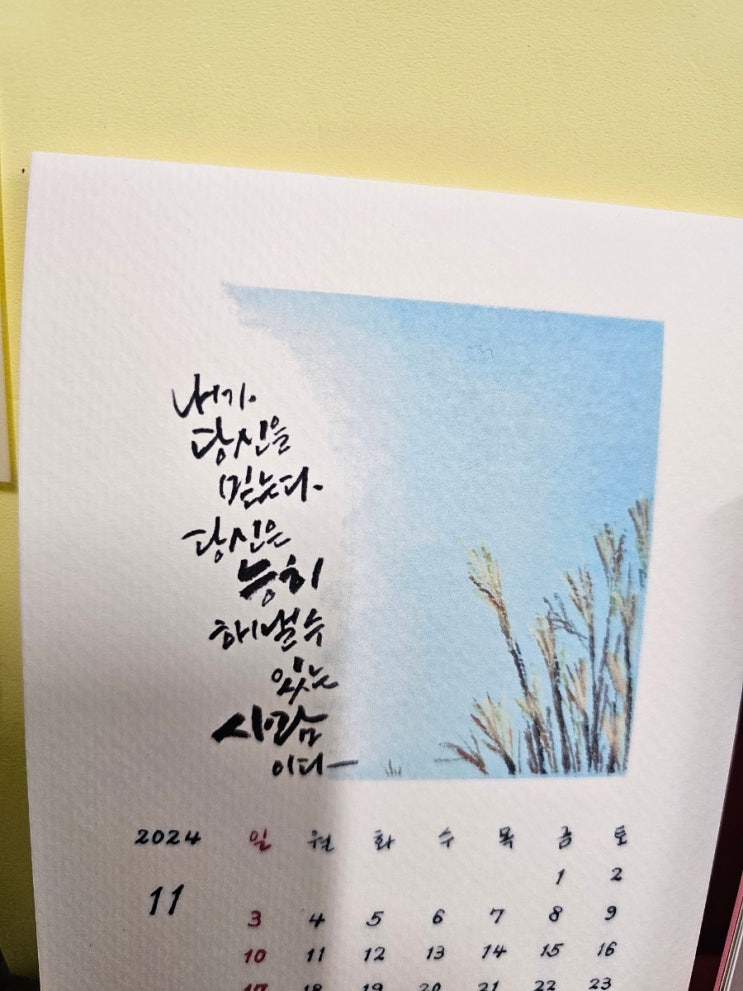 사랑모아 ~~가을 해동검도 명륜도장 /집중력을 요구하는  운동/ 키 성장