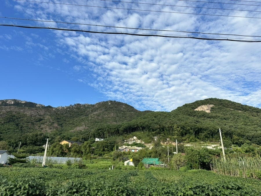 골드뷰펜션 사진 3