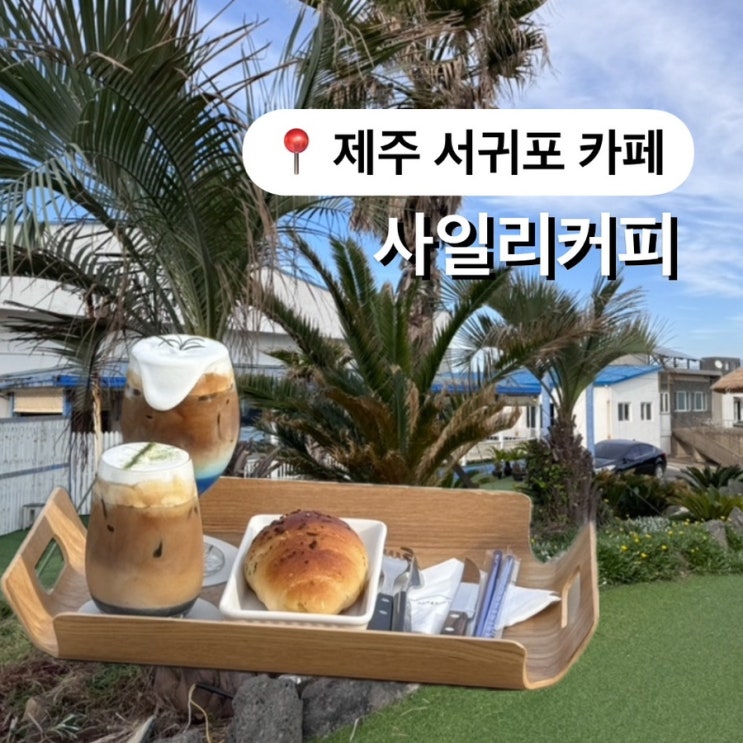  서귀포오션뷰카페 사일리커피 송악산 근처 조용한 힐링 카페