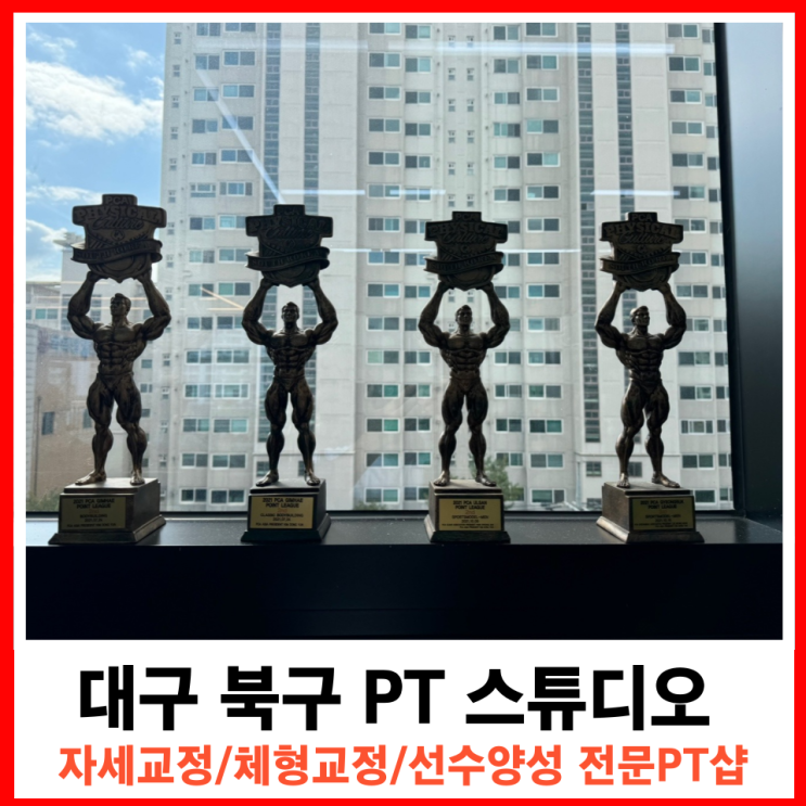  침산동 PT 전문 스튜디오 인스타퍼스널트레이닝 황승환팀장