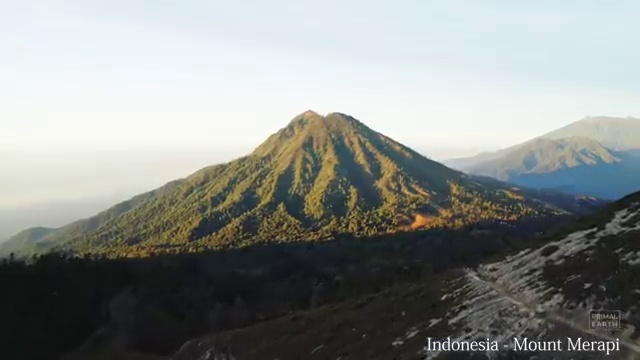  산업위생관리기사필기 , 산업위생관리기사 취득자격 인강으로 간편하게 끝낸 노하우