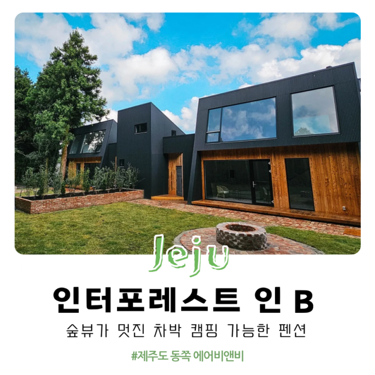  제주도 동쪽 에어비앤비 숙소 추천 숲뷰가 멋진 차박 캠핑 가능한 독채 인터포레스트 인 B