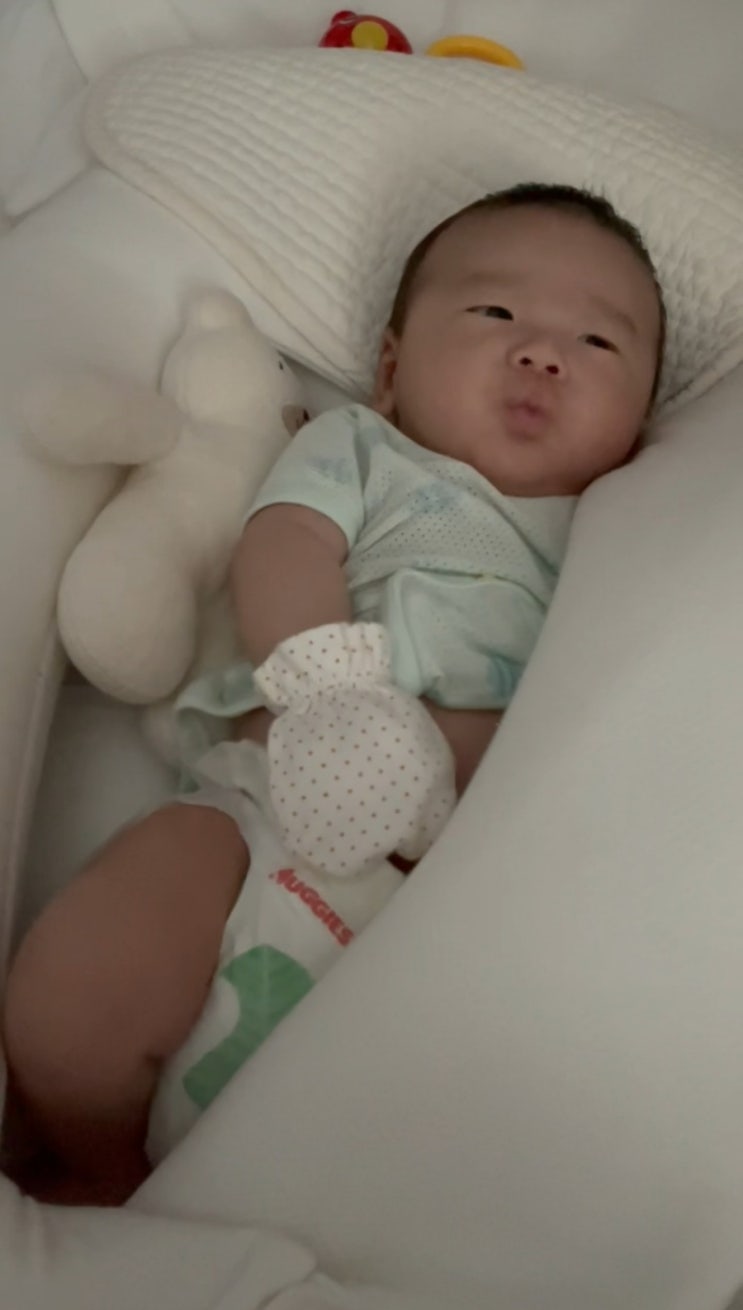  온맘의 온맘을 다하는 육아일기 D+38일 신생아 6주차 수유텀 잠텀 신생아딸꾹질 원인과 대처방안