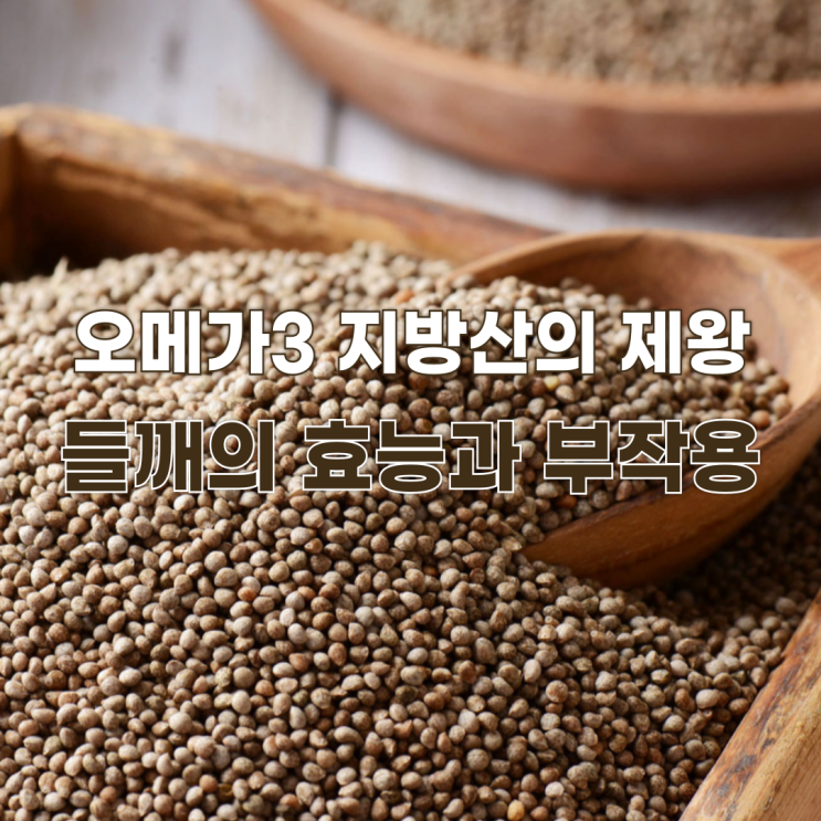  오메가3 지방산의 제왕, 들깨의 효능과 부작용
