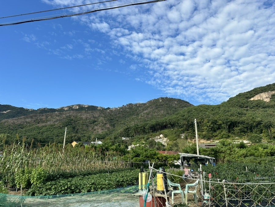 골드뷰펜션 사진 2