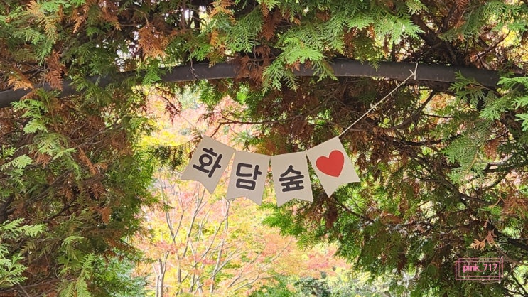  화담숲 - 가을에 꼭 가야하는 핫플 단풍시즌 예약, 입장, 현재 단풍 상황