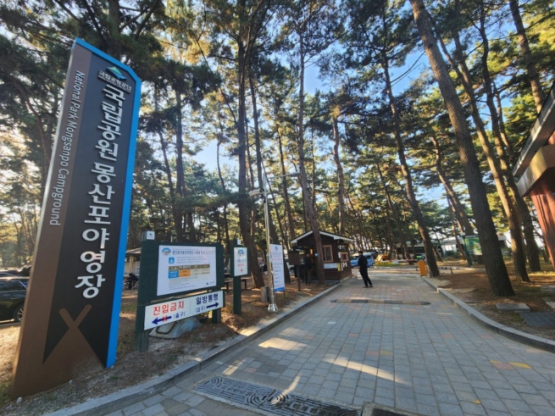 국립공원 몽산포야영장 태안바닷가캠핑장 몽산포캠핑장
