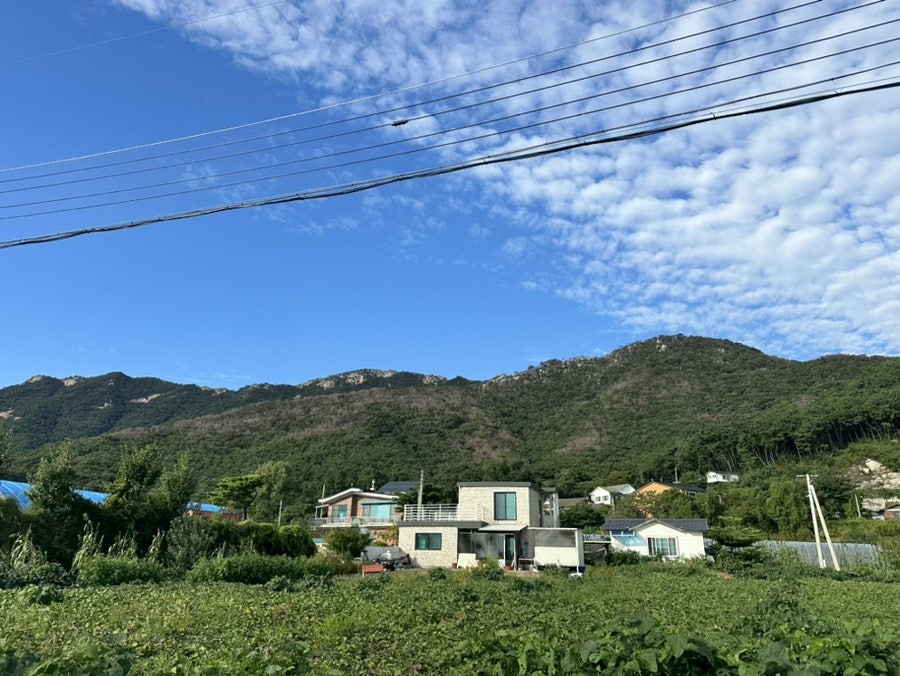 골드뷰펜션 사진 4